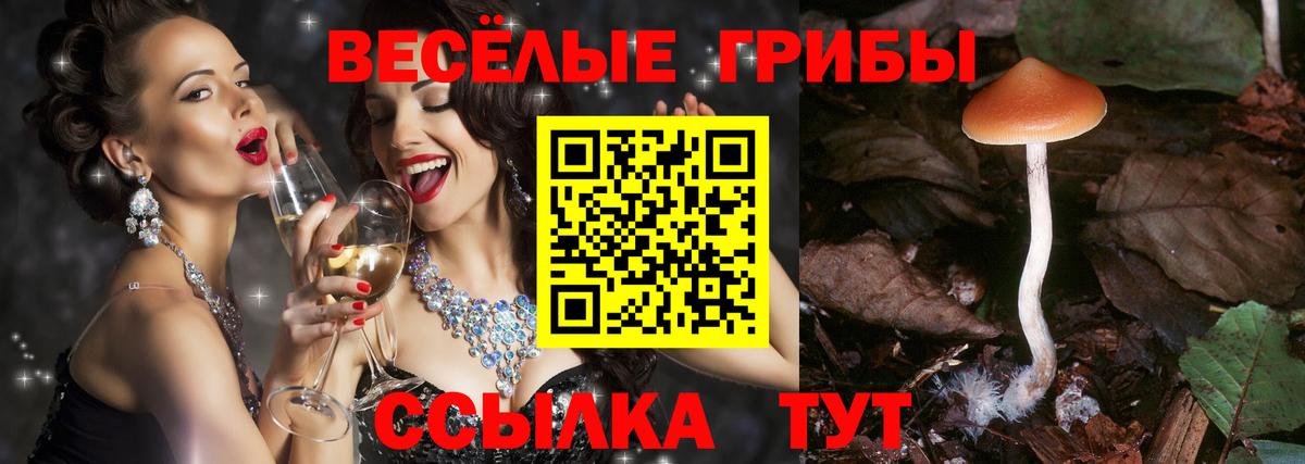 Псилоцибиновые грибы Psilocybine cubensis  Галлюциногенные грибы Psilocybine cubensis  Вход с VPN  Альметьевск 