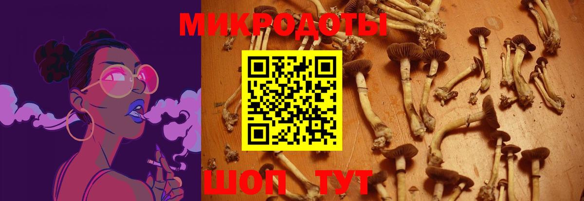 Псилоцибиновые грибы GOLDEN TEACHER Альметьевск